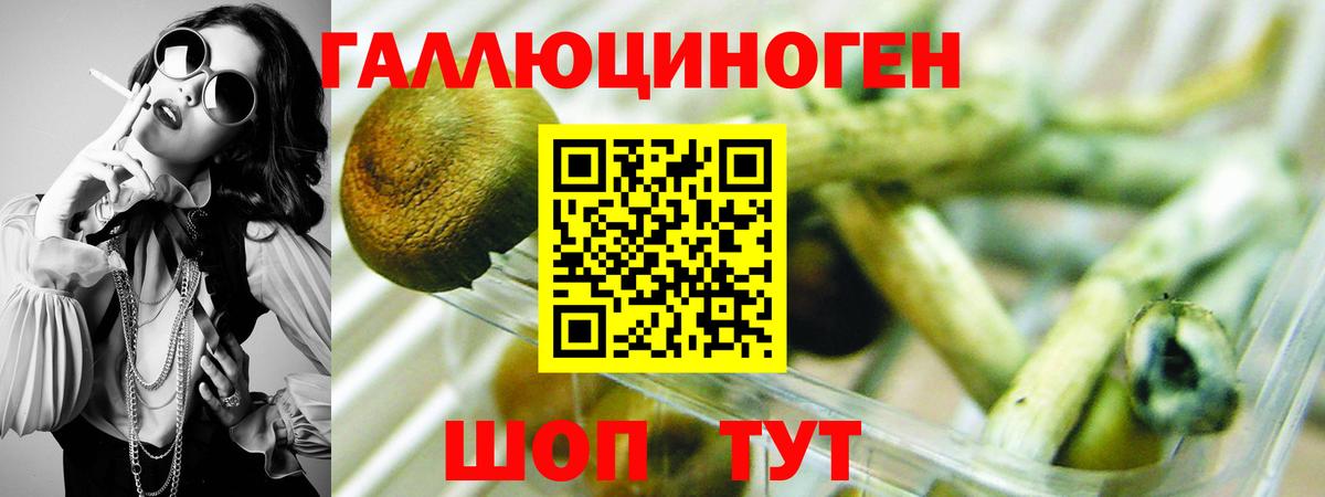 Галлюциногенные грибы прущие грибы  Вход с VPN  Малгобек  купить   Псилоцибиновые грибы Magic Shrooms 